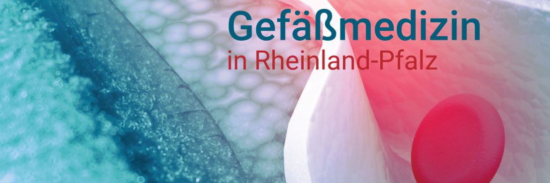 Nahaufnahme einer Arterie mit rotem Blutkörperchen und dem Text 'Gefäßmedizin in Rheinland-Pfalz' in Blau und Rot